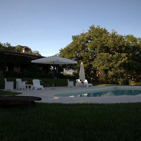 إيسيرنيا The Forest House المظهر الخارجي الصورة