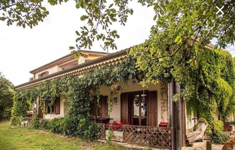 إيسيرنيا The Forest House المظهر الخارجي الصورة