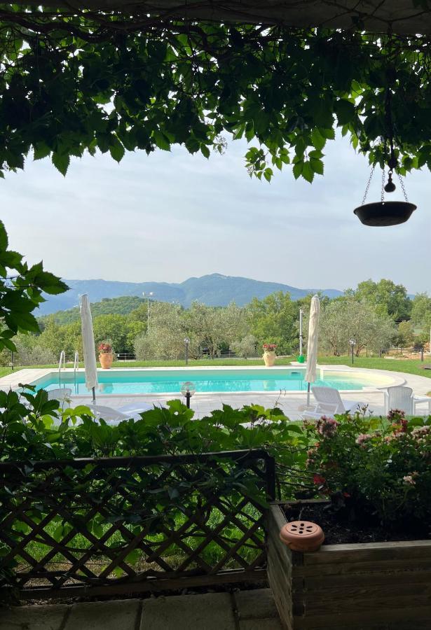 إيسيرنيا The Forest House المظهر الخارجي الصورة